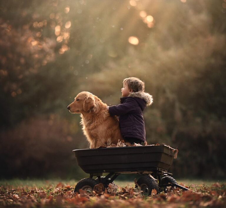 WhatsApp Image 2025-10-16 at 09.43.30 (1)