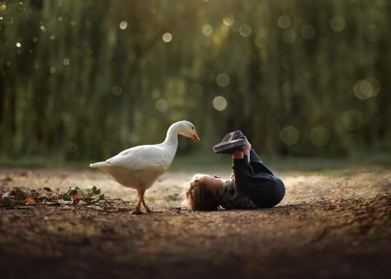 WhatsApp Image 2025-10-16 at 09.43.34